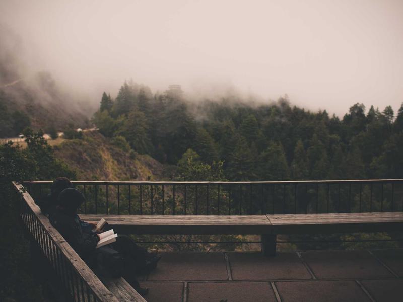 SivLorRenVexko San Pedro de Macorís